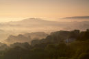 A Golden Morning Near Lyme Regis